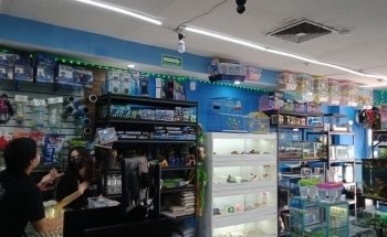 Animal Zone