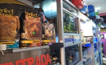 Mundo acuatico y Tu Mascota