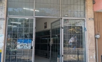 Acuario Gallery Fish