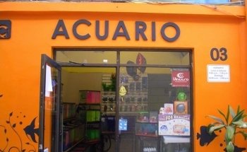 Aquatic Shop Aquarium