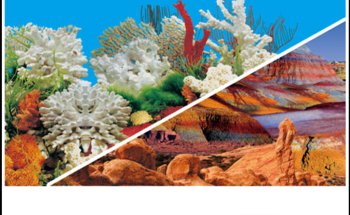 Aquatic Shop Aquarium