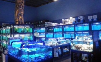 ARC Aquariums