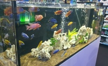 ARC Aquariums