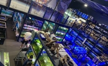 ARC Aquariums