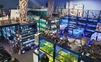 ARC Aquariums