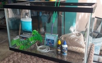 Acuario alquimista