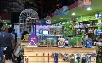 Univer Zoo