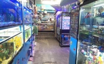 ACUARIO KEIKO