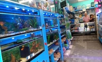 ACUARIO KEIKO