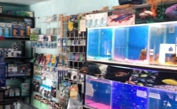 Acuario El Perla Negra