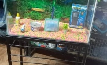 Acuario El Perla Negra