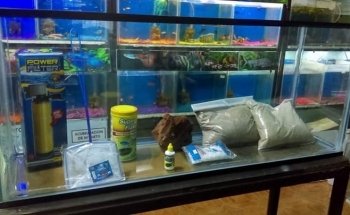 Acuario El Perla Negra