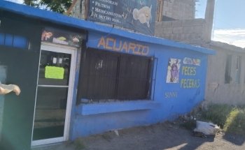 Acuario El Perla Negra