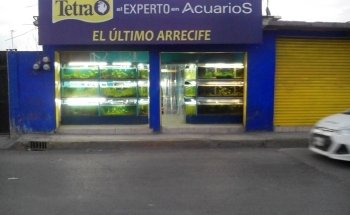Acuario El Último Arrecife