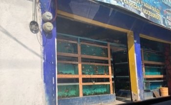 Acuario El Último Arrecife