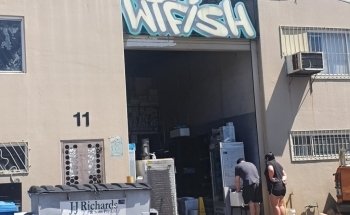Wat The Fish (WTFish)