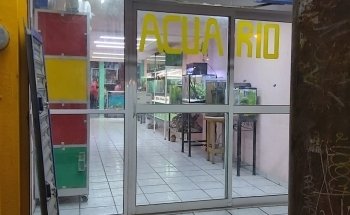 Acuario 