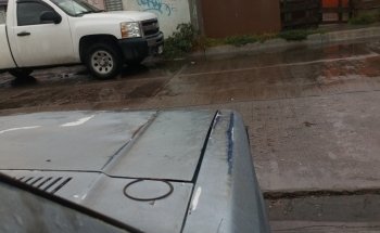 Acuario 