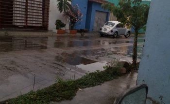 Acuario 