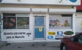 Acuario Tiburoncín