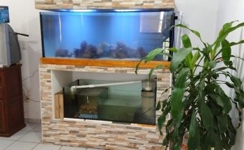 Acuario Diversidad Marina