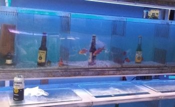 Acuario Diversidad Marina