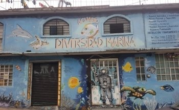 Acuario Diversidad Marina