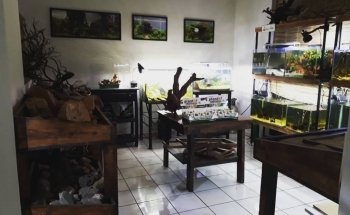 Tropic Land Acuario