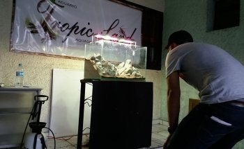 Tropic Land Acuario
