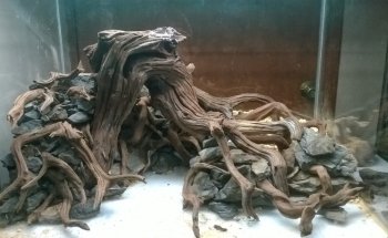 Tropic Land Acuario