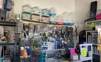 Pet Lovers Acuario & Mascotas