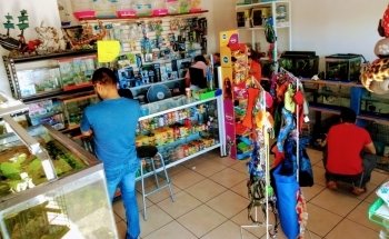 Pet Lovers Acuario & Mascotas