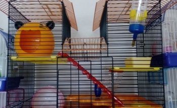 Pet Lovers Acuario & Mascotas