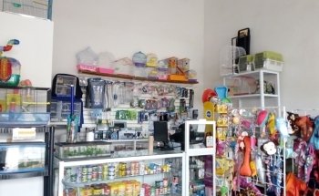 Pet Lovers Acuario & Mascotas