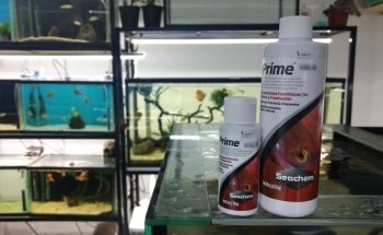 Aquarium Heckel