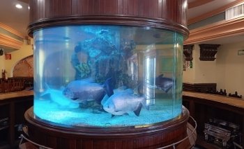 Acuario Eugenio
