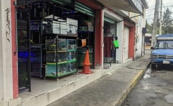 Acuario Kimarachi