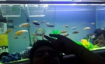 Acuario Doris Mayoreo y Menudeo