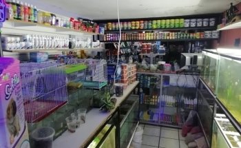 Acuario Doris Mayoreo y Menudeo