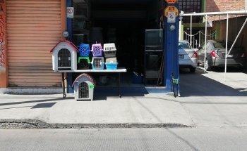 Doris Mayoreo and Menudeo Aquarium