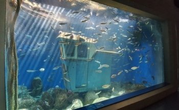 Aquarium Finisterrae