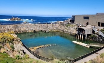 Aquarium Finisterrae