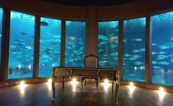 Aquarium Finisterrae