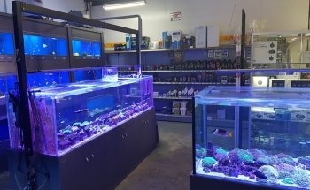 Aggies Aquariums