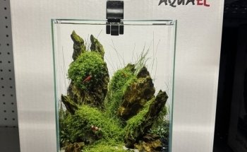 Aggies Aquariums