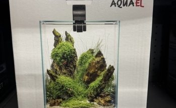 Aggies Aquariums