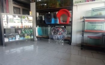 CLÍNICA VETERINARIA Y ACUARIO 