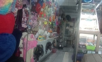 CLÍNICA VETERINARIA Y ACUARIO 