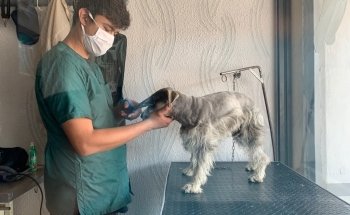 CLÍNICA VETERINARIA Y ACUARIO 