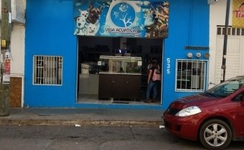 Vida Acuática